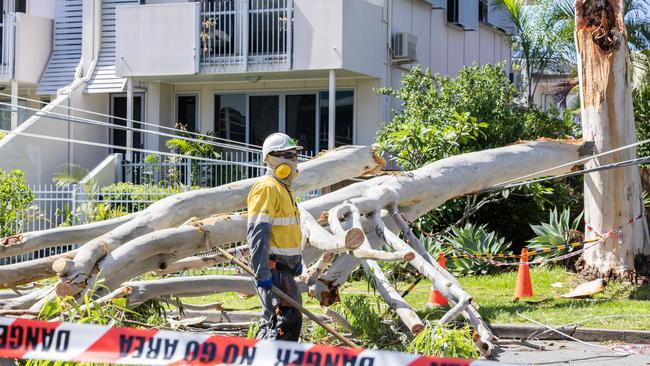 Energex crew cleaning up Zahel Street, Carina, after previous days storm, Wednesday, December 27, 2023. Picture: Richard Walker