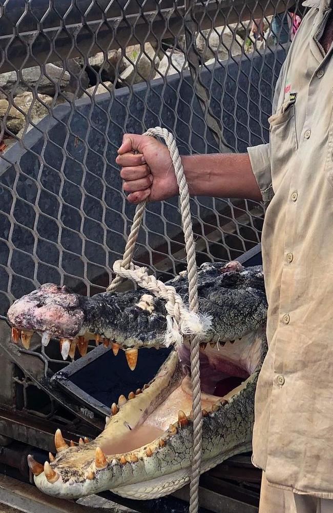 A 4.4m croc was trapped and killed by Queensland Department of Environment and Science rangers. The act has been slammed and called a 'disgraceful situation'.