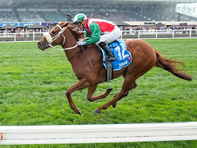 Craig (GB) ridden by Luke Currie wins the Stow Robotics Handicap at Caulfield Racecourse on August 31, 2024 in Caulfield, Australia. (Photo by George Sal/Racing Photos)