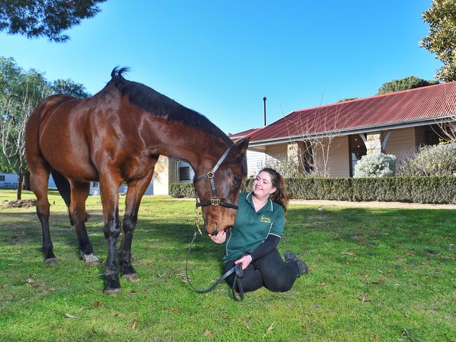 Retired racehorse Chief De Beers takes a walk around the homestead with Danielle Muskett. Picture: Tony Gough