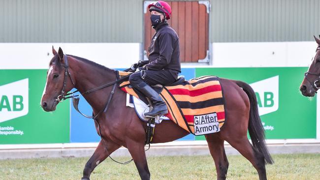 Armory has strong European formlines for the Cox Plate. Picture: Getty Images