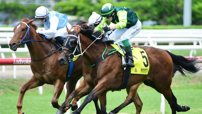 Beau Dazzler is on a path towards the Queensland Derby Picture: Trackside Photography