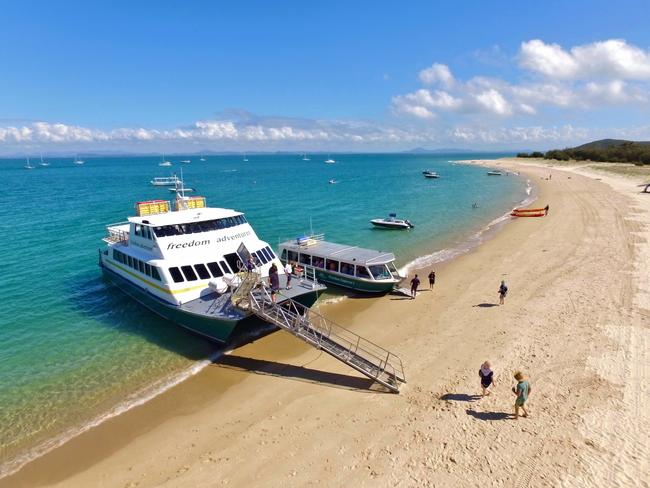 Freedom Fast Cats have ferried over 3 million people to Great Keppel Island