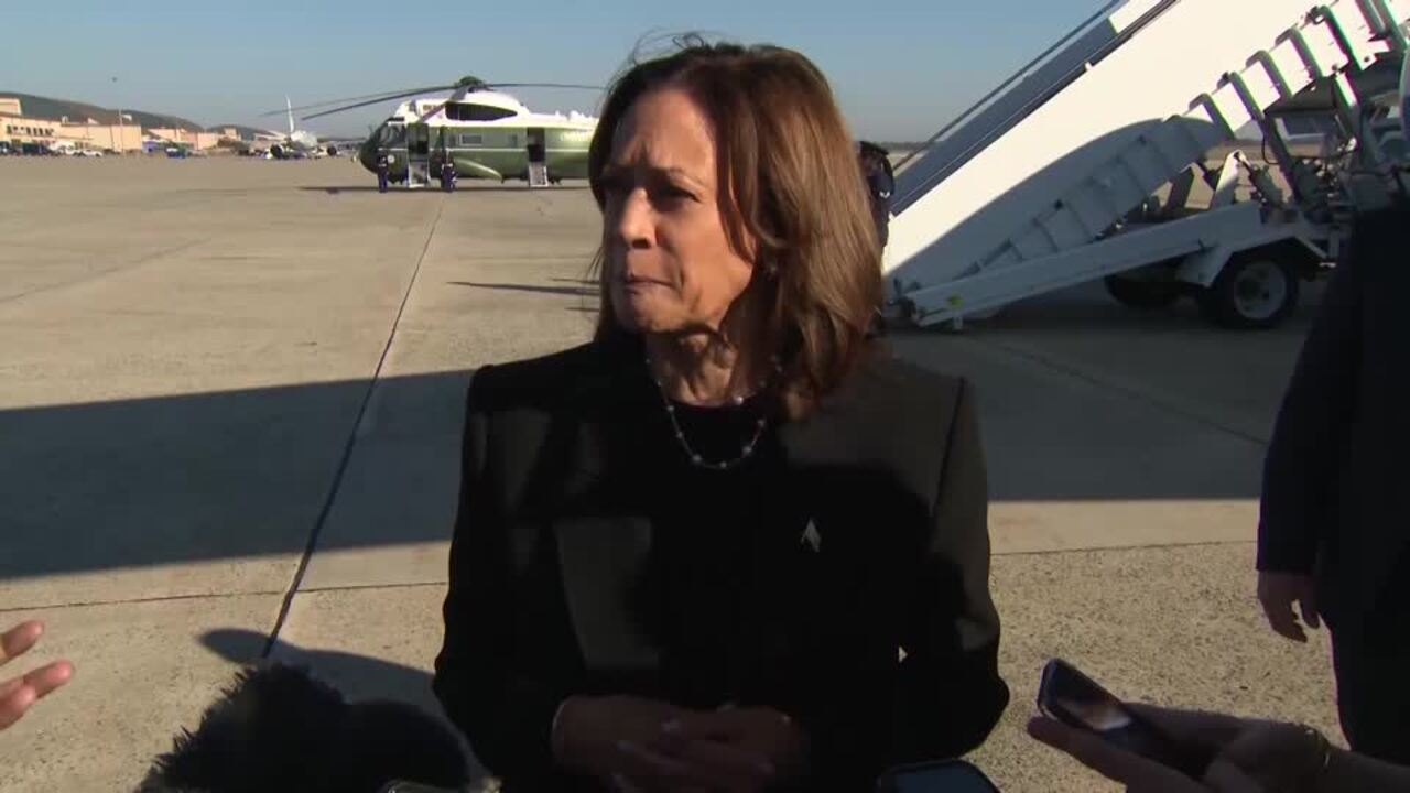 Harris vows to serve 'all Americans' after Biden's gaffe