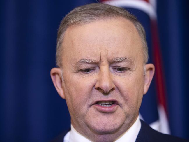 CANBERRA, AUSTRALIA -  NewsWire Photos JANUARY , 28, 2021The Leader of the Australian Labor Party, Anthony Albanese during  a press conference at Parliament House in Canberra. Picture:NCA Newswire/Gary Ramage