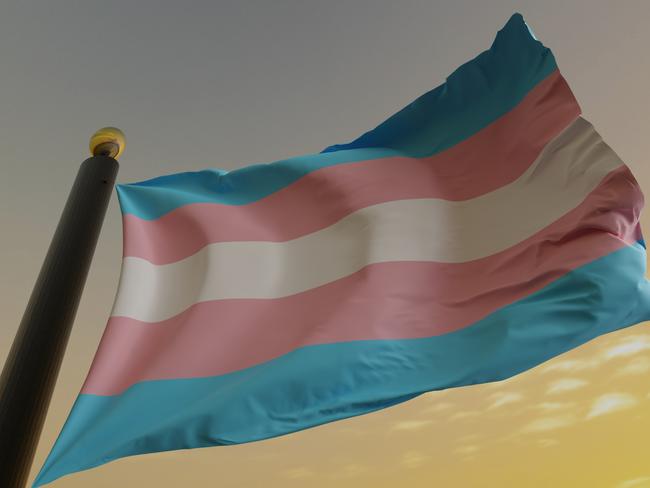 Flag of the Transgender Pride and Social Movement