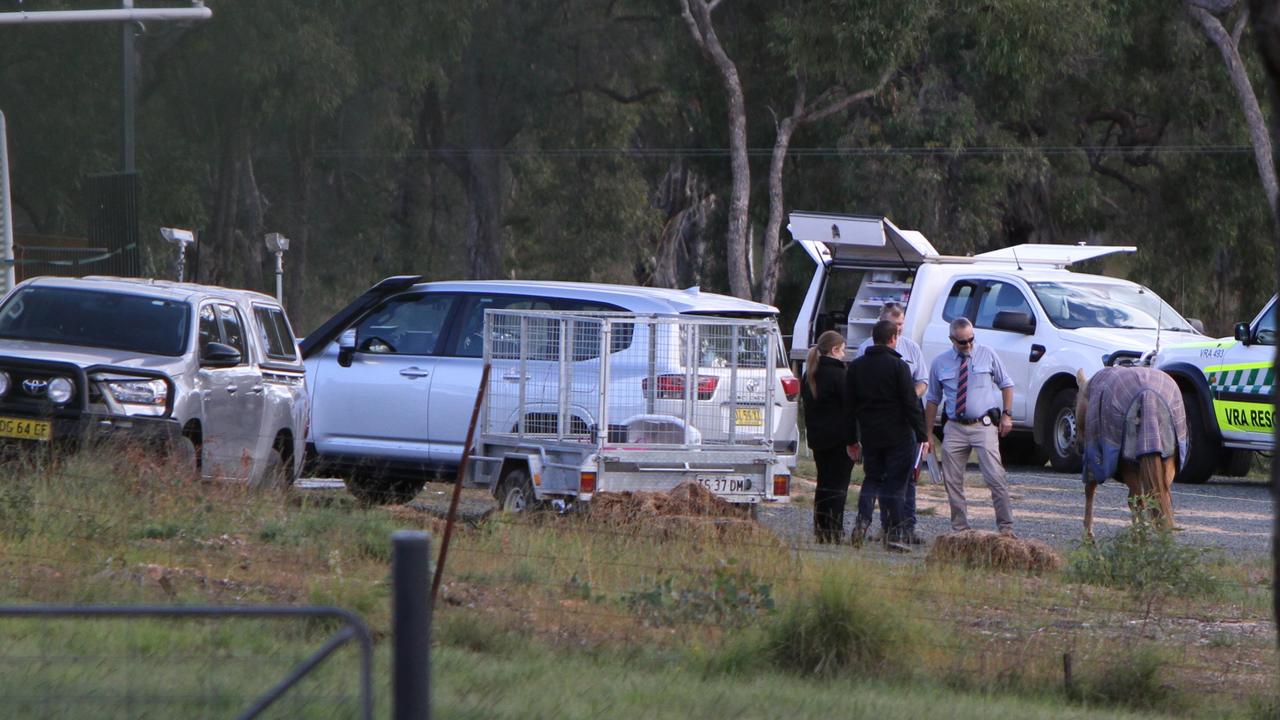 Woman charged over boys’ alleged murders