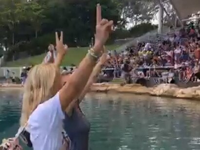 Protestors stop shows at Sea World and other theme parks. Picture: Justice for Captives/Facebook