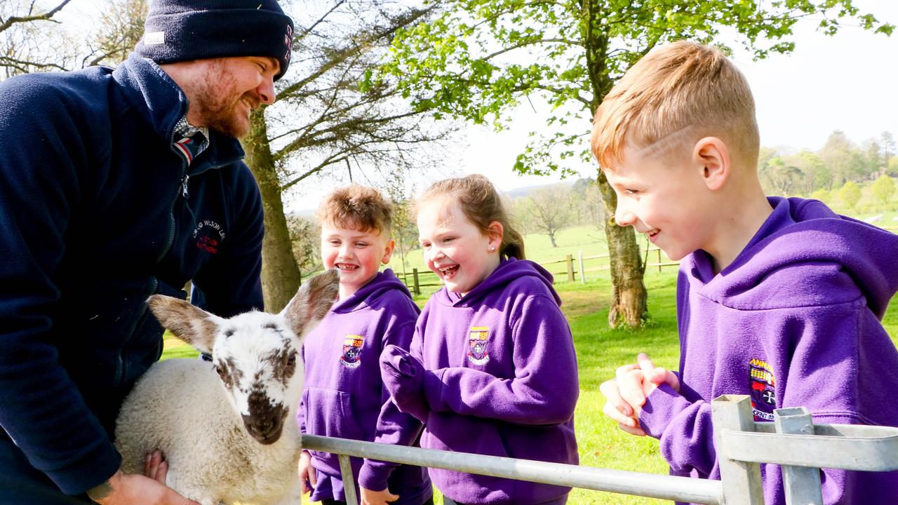 School pupils learn about farming at Dumfries House.