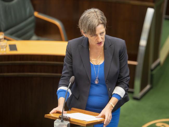 Leader of the state’s Greens Cassy O'Connor. Picture: RICHARD JUPE