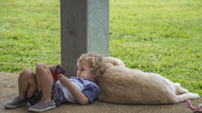 A child and a dog wait near a polling booth in Edmonton, south of Cairns, Saturday, July 2, 2016. Picture: AAP Image/Brian Cassey