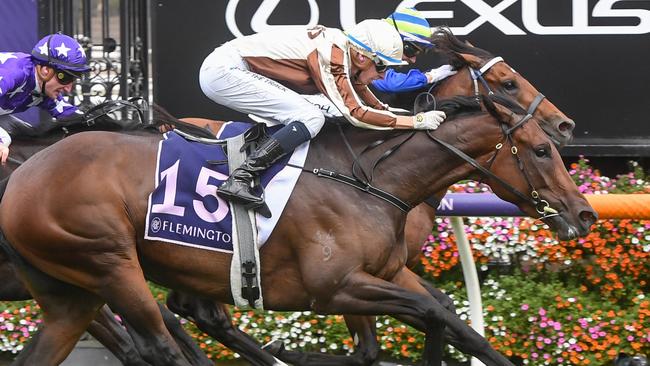 Legarto (NZ) ridden by Michael Dee wins the Australian Guineas at Flemington Racecourse on March 04, 2023 in Flemington, Australia. (Photo by George Sal/Racing Photos via Getty Images)