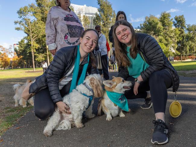 RSPCA SA's Million Paws Walk in Adelaide on May 25, 2025. Picture: Ben Clark