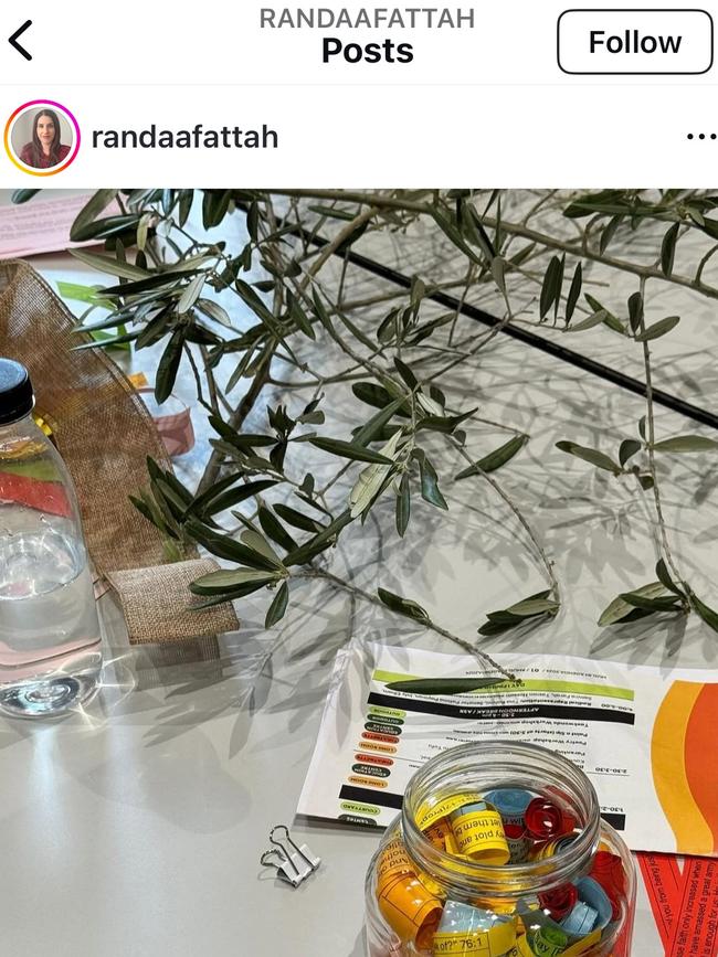 Dr Abdel-Fattah posts her ‘best work’ on Instagram.