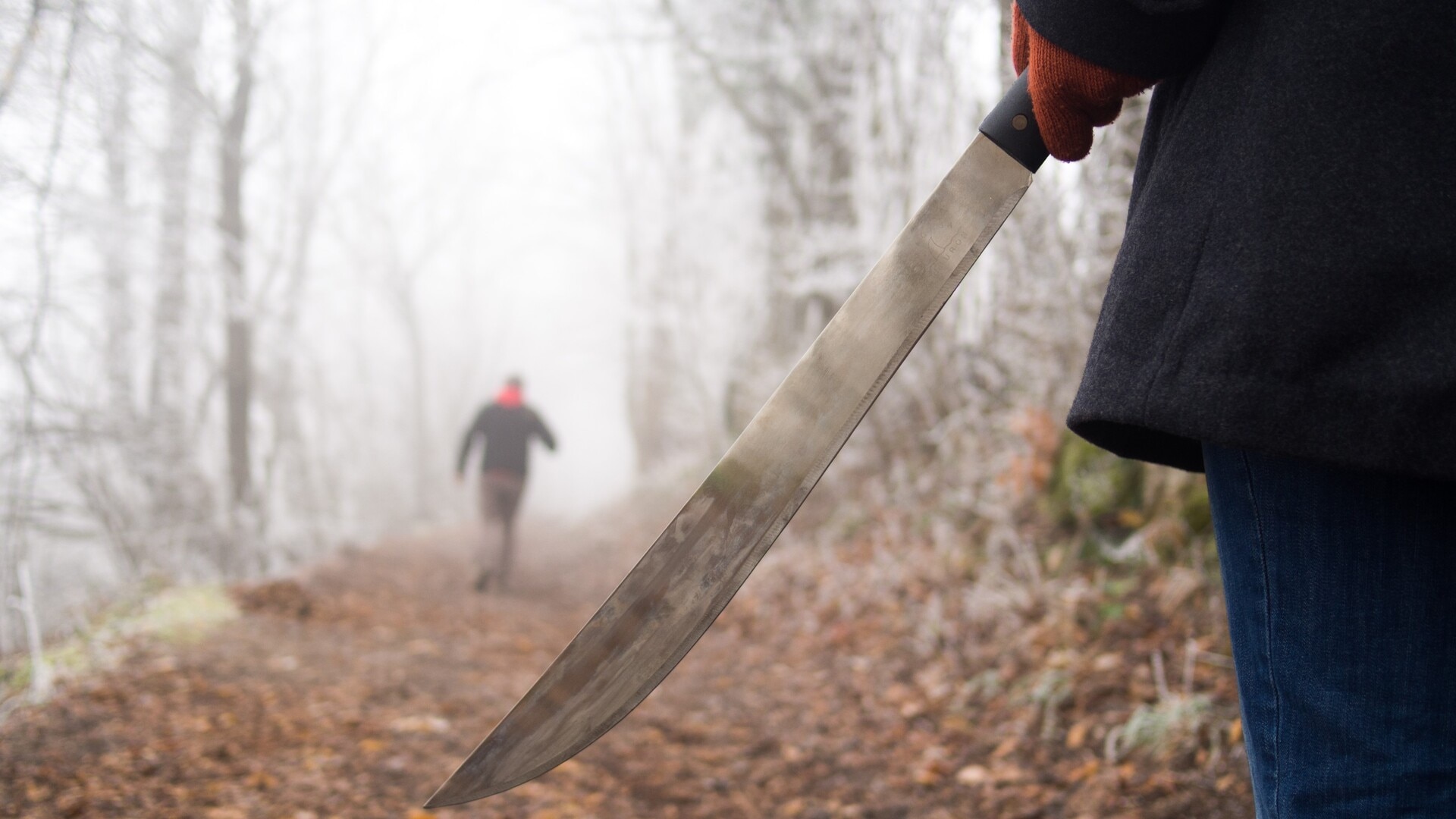 Victoria’s crime crisis and machete ban highlights need for ‘tougher regulations’