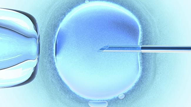 South Australia S Legal Fraternity Support Calls For Ivf