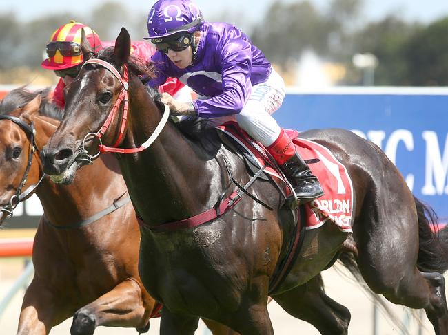 Horse racing on the Gold Coast. Winner race 3, number 1, Jumbo Prince, Jockey Luke Tarrant. Pic Jono Searle.