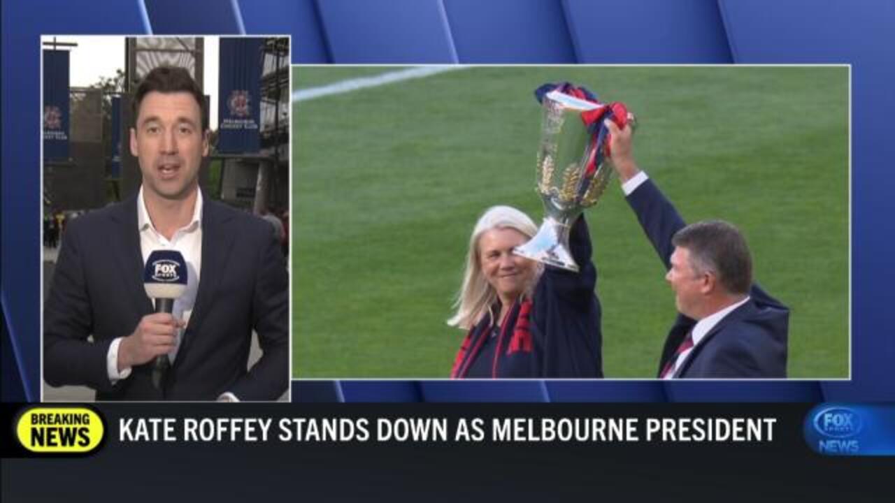 Demons president Kate Roffey stands down