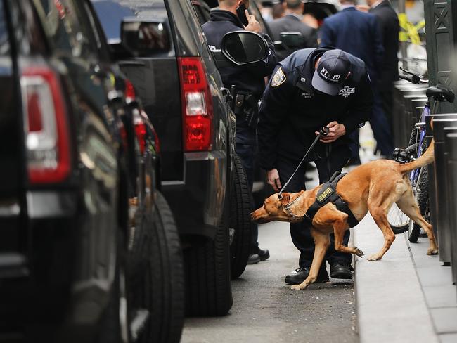 (FILES) In this file photo taken on October 24, 2018 a police bomb sniffing dog is deployed outside of the Time Warner Center after an explosive device was found in New York City. - Dogs can be trained to sniff out certain cancers, people at risk of a diabetic coma and now, children with malaria just by smelling their socks, researchers said October 29, 2018. According to the findings presented at the American Society of Tropical Medicine and Hygiene annual meeting in New Orleans, dogs were trained to sniff out malaria parasites in African children who tested positive for the mosquito-borne disease but did not have a fever or other outward symptoms. (Photo by SPENCER PLATT / GETTY IMAGES NORTH AMERICA / AFP)