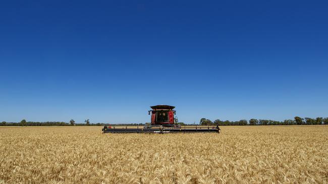 Rabobank forecasts have predicted another good year for crops. Picture: Zoe Phillips