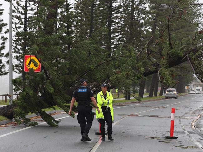 Gold Coasters are waking up to see what damage TC Alfred has caused including trees down like this one in Labrador. Pics Adam Head