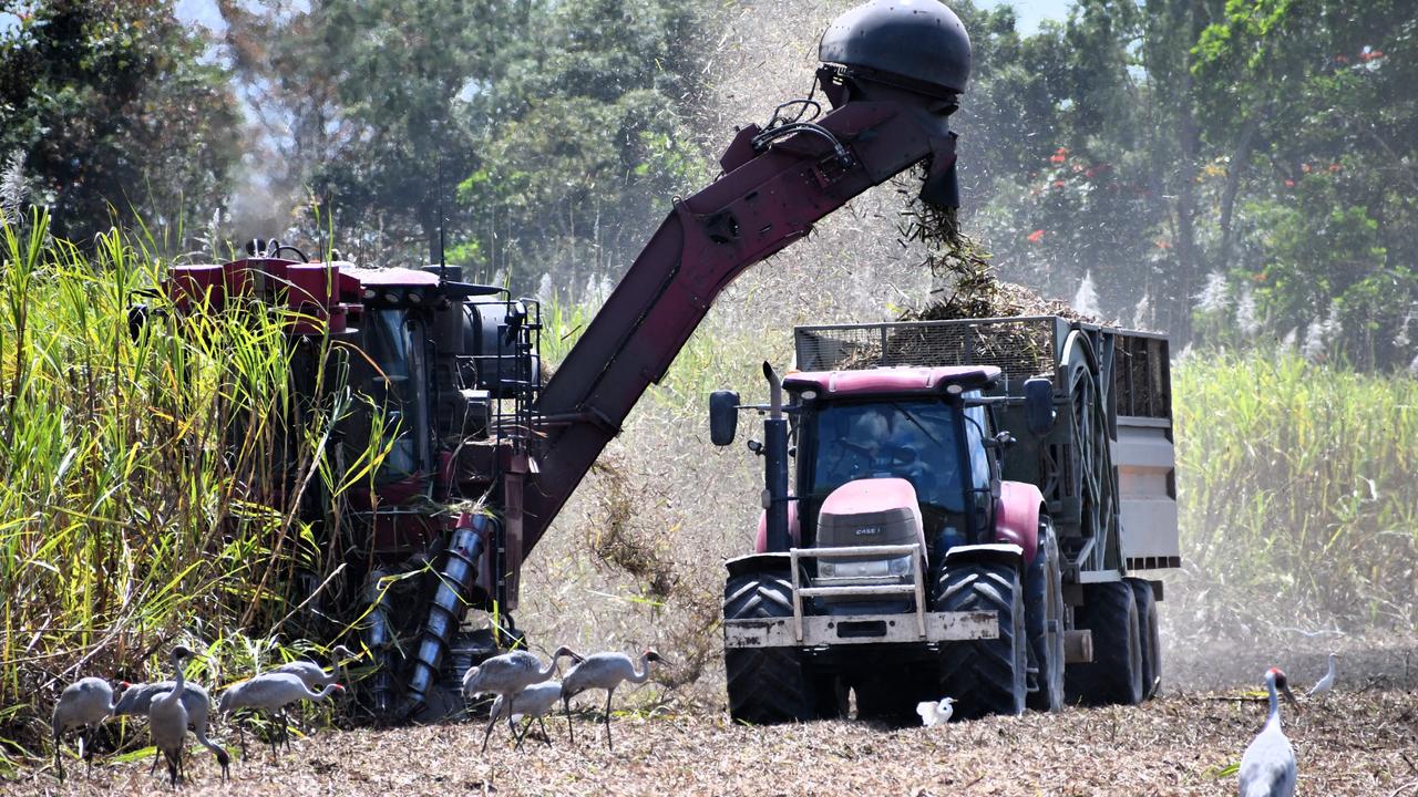 The Herbert River sugar-cane harvest at Toobanna south of Ingham, Hinchinbrook Shire. Please attribute. Picture: Cameron Bates