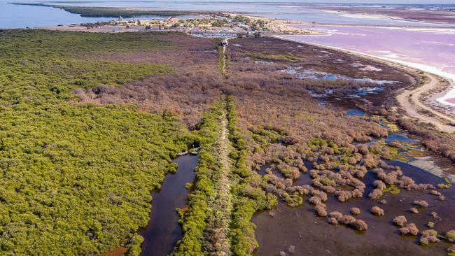 A drone image reveals the extend of the dead and dying mangroves and saltmarsh at St Kilda, where super salty water can be seen in evaporation ponds. Picture: Alex Mausolf – St Kilda Mangroves