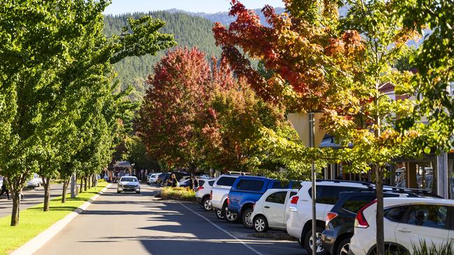 Bright streetscape. Picture: Rob Blackburn