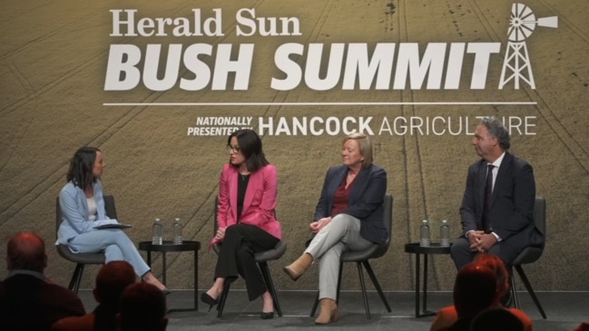 Herald Sun Bush Summit 2023: Panel Discussion: Business Resilience