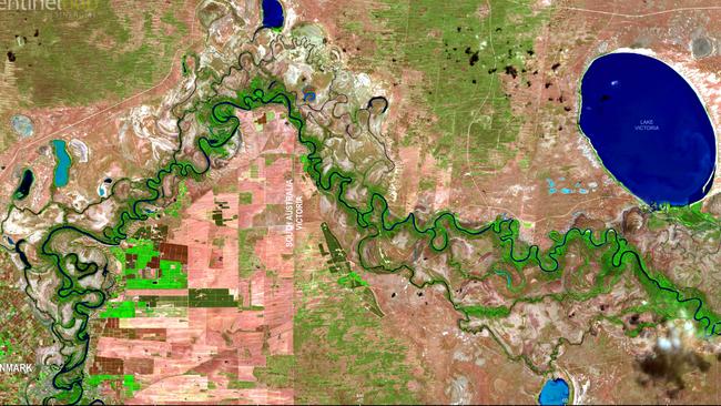 The River Murray region between Renmark and Lake Victoria, in NSW, in June, 2021. Image: Mapping Services Australia