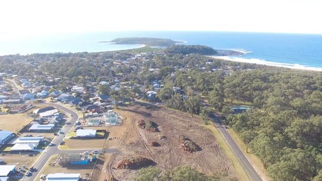 Broulee Mossy Point Community Association has been lobbying for the trees (above) to remain. Picture: Facebook