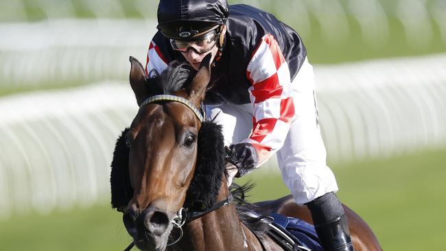 Conscript will prove tough to run down at Rosehill on Saturday. Picture: Getty Images