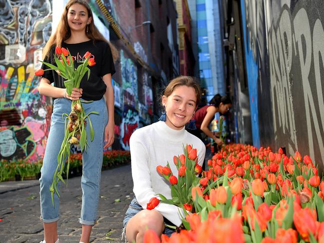 Jahla Smith and Eliza Hughson from Torquay. Thousands of tulips turned up overnight on Hosier Lane. Picture: Nicole Garmston