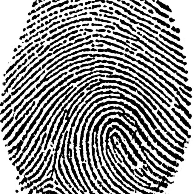 It is alleged the man’s fingerprints (not that pictured) were found on a book. Photo: Thinkstock