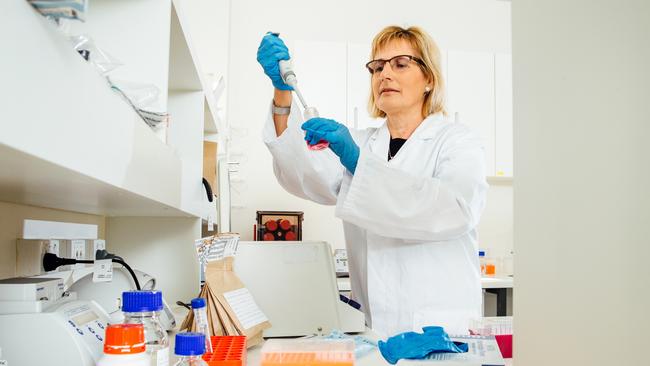 Sharon Neville and her team look at crime scene evidence such as blood and hair samples to help solve crimes. Picture: Jonathan Ng