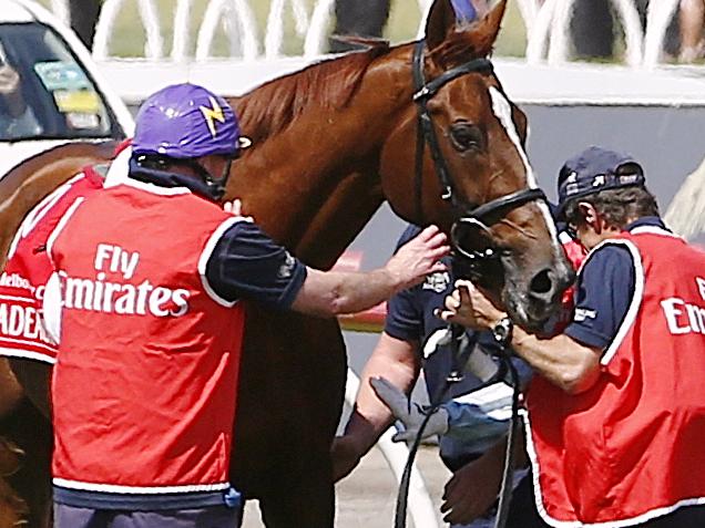 Racing - Melbourne Cup Day MelbourneCup15 The Melbourne Cup Race 7  No 9 Red Cadeaux did not finnish the race  Picture:Wayne Ludbey