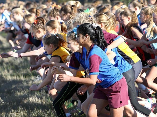 A large group of girls start off in the Tasmanian Primary All Schools Cross Country at Symmons Plains.