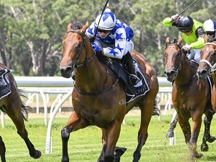 King Of Pop (blue) levels up to Savvy Hallie in the 2YO race at Warwick Farm on Wednesday. Photo: Bradley Photos.