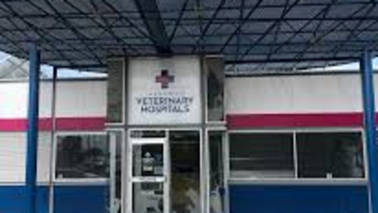 Eastern Shore veterinary clinic gutted by fire