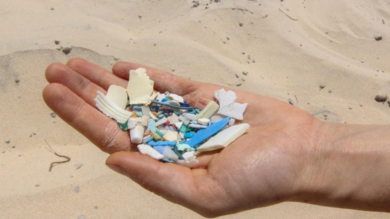 Micro plastics are just below the surface often on K'gari.