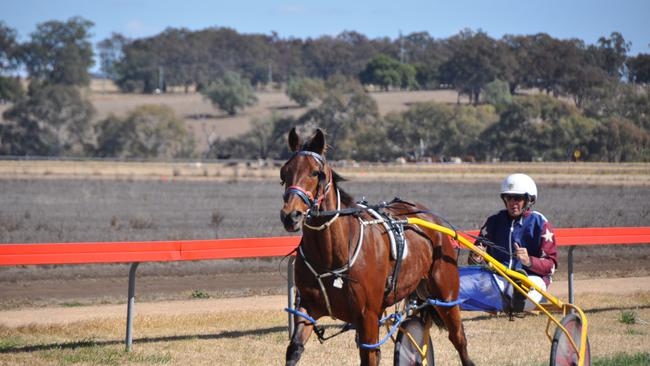 Dayl March will switch the sulky for the saddle. Photo: Michael Cormack