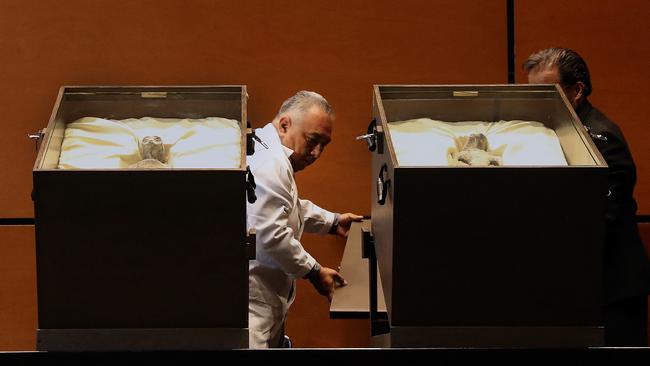 Supposed “non-human” alien corpses were presented to Mexican politicians on Wednesday. (Photo by Handout / Mexico's Congress / AFP)