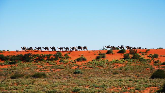 Andrew’s main motivation is exploring the Australian desert for science. 