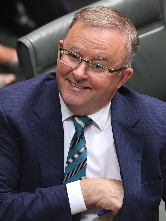 Opposition leader Anthony Albanese. Picture: AAP