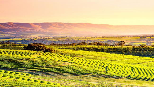 McLaren Vale has been named SA’s best destination by Wotif.com