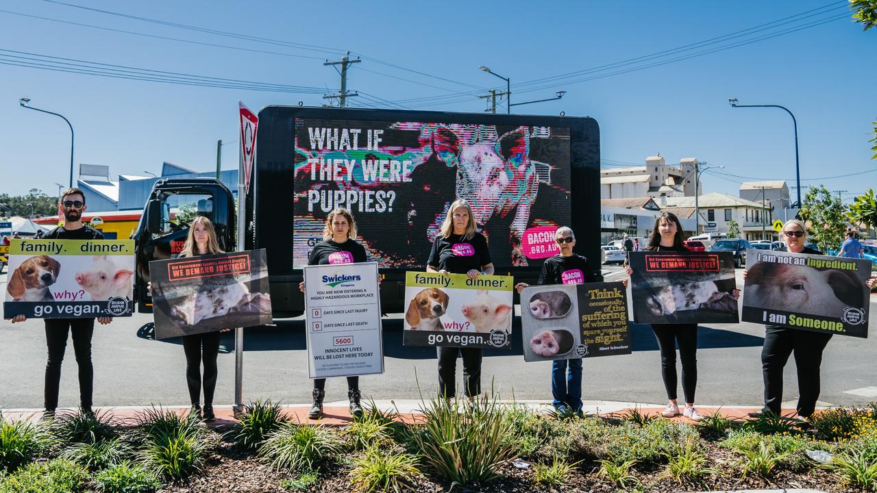 Animal Liberation Queensland activists protesting at the 2022 Kingaroy BaconFest. Picture: Supplied