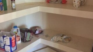 The kitchen pantry of a Gold Coast home where two teenage brothers live in residential care under Child Safety.