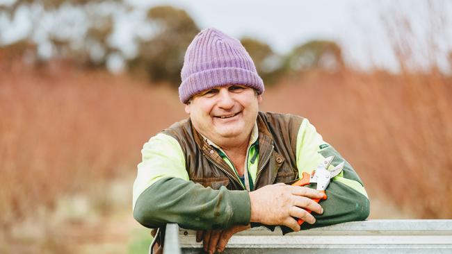 Lake Boga farmer Michael Tripodi pruning his trees last winter. He has significantly expanded his business, needing the assistance of as many as 200 workers to pick his crop. But there’s no where to house them. Picture: Chloe Smith.