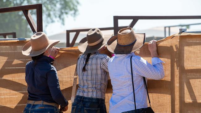 2024 Top End Rock N Rodeo Muster at the Darwin Showgrounds. Picture: Pema Tamang Pakhrin.