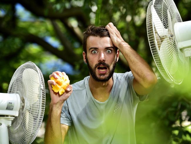 You might get a bit of mango madness in the Build-Up, like Narrows resident Matthew Burnham did, but at least you get a break from all the socialising of the Dry. Picture: KERI MEGELUS